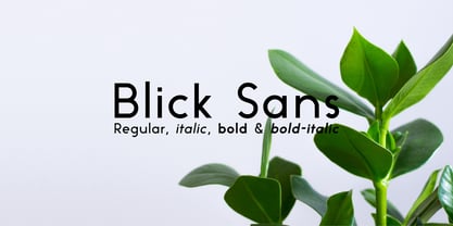 Blick Sans Font Poster 1