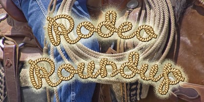 Rodeo Roundup Font Poster 1
