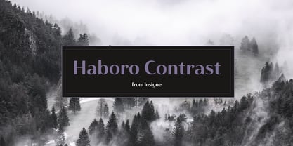 Haboro Contrast Fuente Póster 1