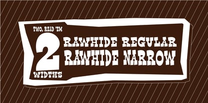 Rawhide Font Poster 9