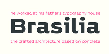Niemeyer Font Poster 14