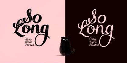 Catsy Font Poster 3