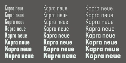 Kapra Neue Font Poster 3