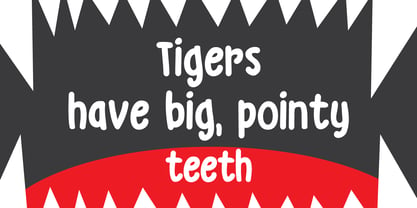 Grumpy Tiger Font Poster 4