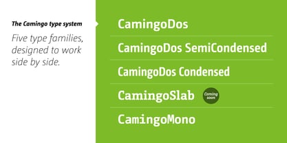 CamingoDos Font Poster 10