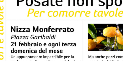 Garibaldi Font, Webfont & Desktop