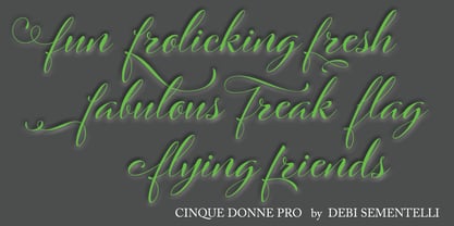 Cinque Donne Font Poster 6