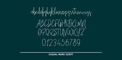 Casual Mark Script Font Poster 6