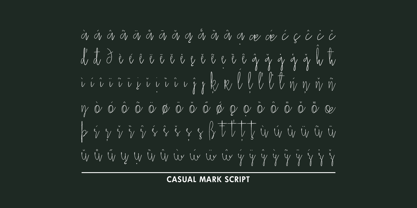 Casual Mark Script Font Poster 8