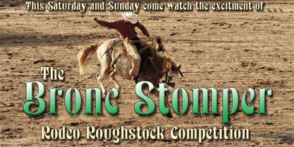 Bronc Stomper Font Poster 1