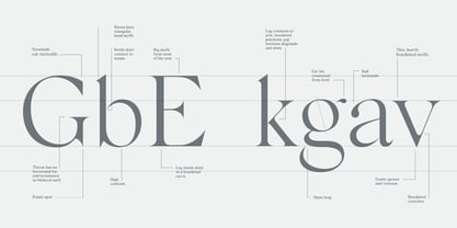 Silk Serif Font Poster 15