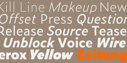 Zeitung Pro Font Poster 6