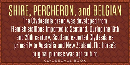 Clydesdale Font Poster 4
