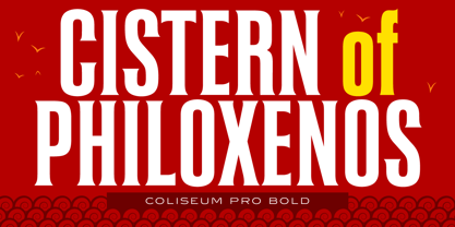 Coliseum Pro Police Affiche 2