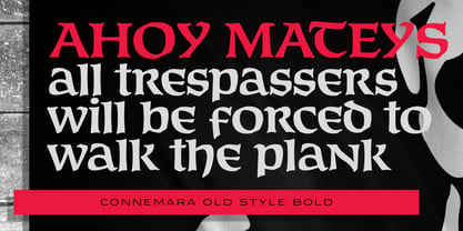 Connemara Old Style Font Poster 3
