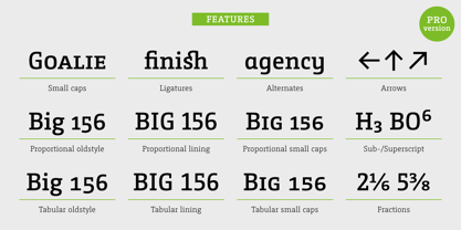 CamingoSlab Font Poster 5