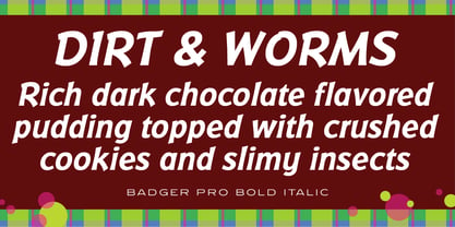 Badger Pro Font Poster 12