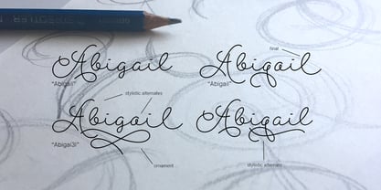 Abigail Script Fuente Póster 3