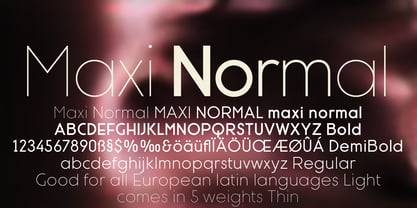 Maxi Font Poster 2
