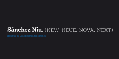 Sánchez Niu Font Poster 1