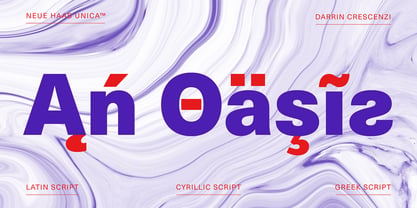 Neue Haas Unica Fuente Póster 3