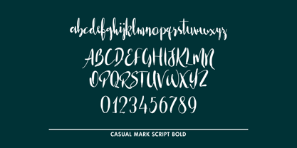 Casual Mark Script Font Poster 7