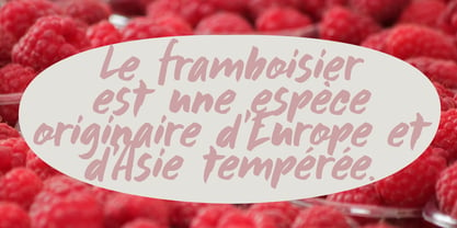 Framboisier Font Poster 4