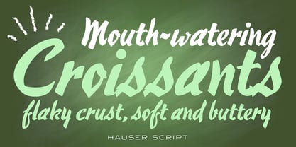 Hauser Script Fuente Póster 3