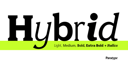 Hybrid Font Poster 5