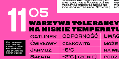 Quadrat Grotesk New Font Poster 3