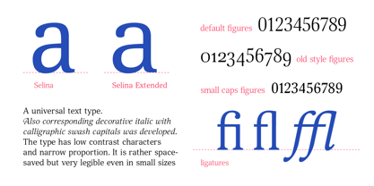 Selina Font Poster 4