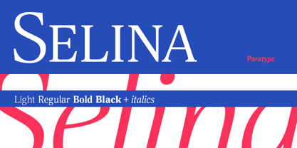 Selina Font Poster 7