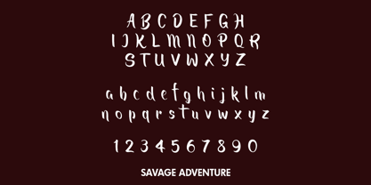 Savage Adventure Font Poster 4