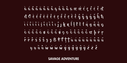 Savage Adventure Font Poster 5