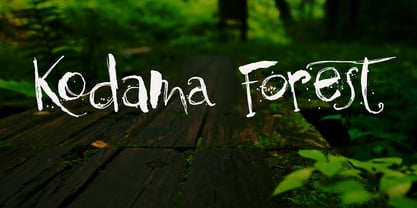 Kodama Forest Fuente Póster 1