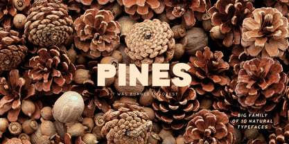 Pines Font Poster 1