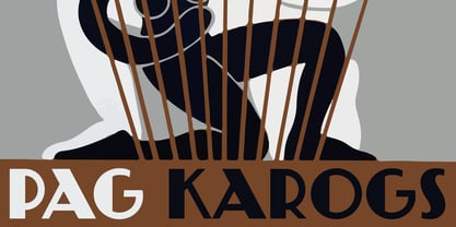 PAG Karogs Police Poster 1