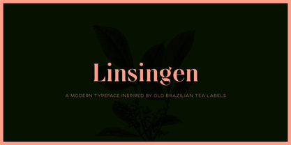Linsingen Font Poster 11