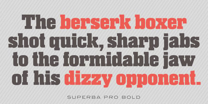 Superba Pro Font Poster 2