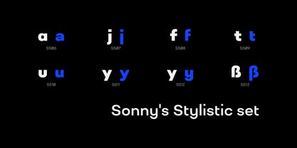 Sonny Gothic Font Poster 12