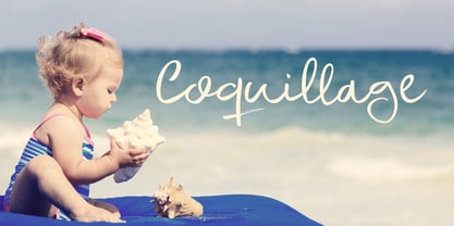 Coquillage Fuente Póster 1