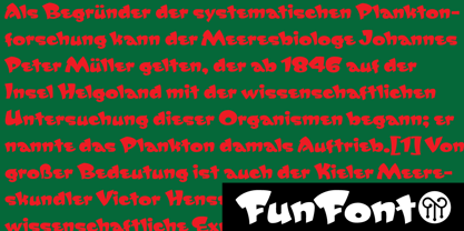 FunFont Police Poster 13