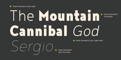 Noyh Geometric Slim Font Poster 6
