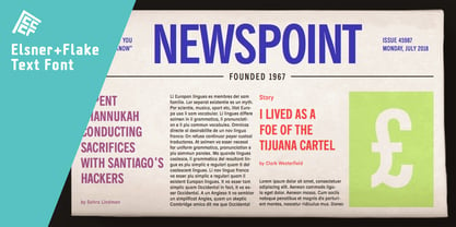 Newspoint Font Poster 2
