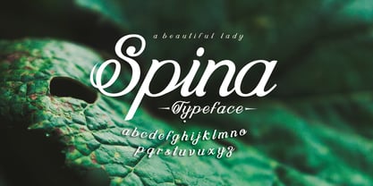 Spina Font Poster 1