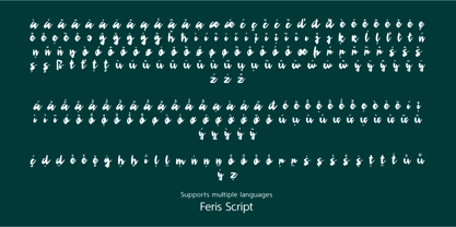 Feris Script Font Poster 4