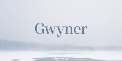 Gwyner Fuente Póster 1