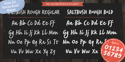 Saltbush Rough Font Poster 11