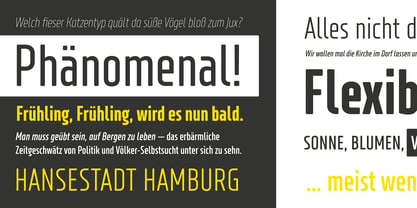 XXII Neue Norm Rounded Police Poster 4