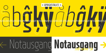 XXII Neue Norm Rounded Font Poster 7